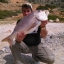 antonis